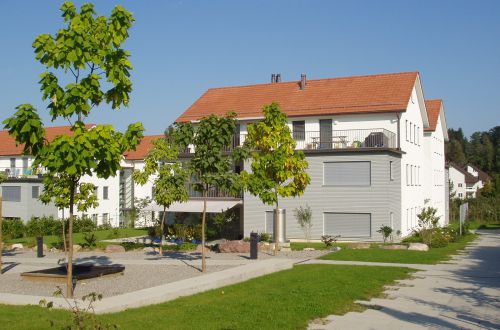 124 Wohnsiedlung Chrummwis